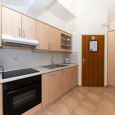 Guest house Irena 3*