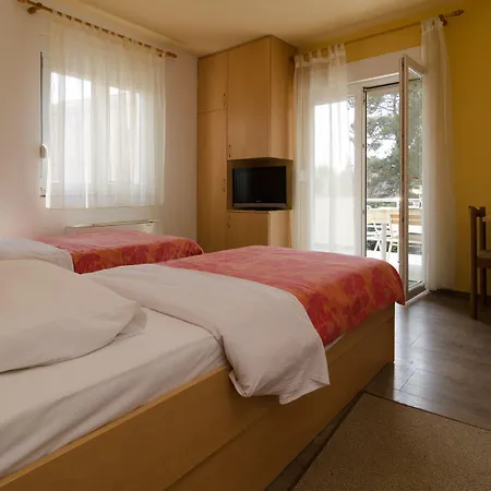 Guest house Irena 3*