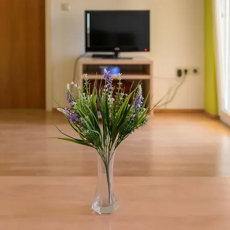 Guest house Irena