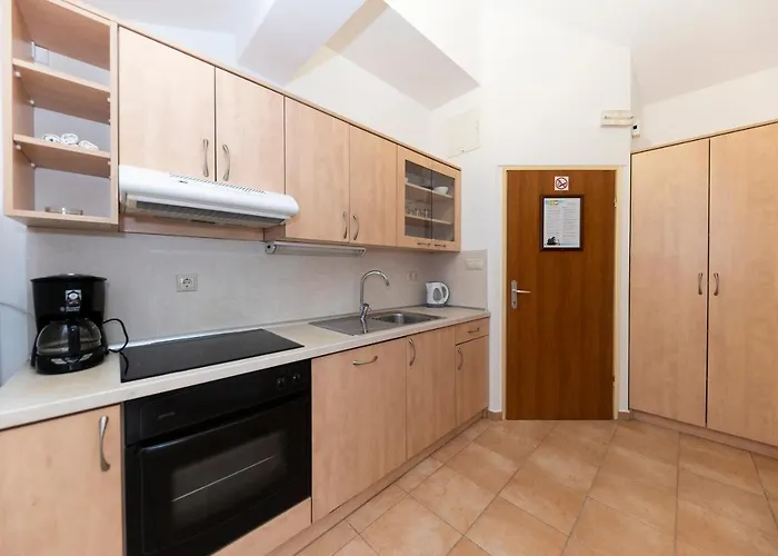 Guest house Irena 3*