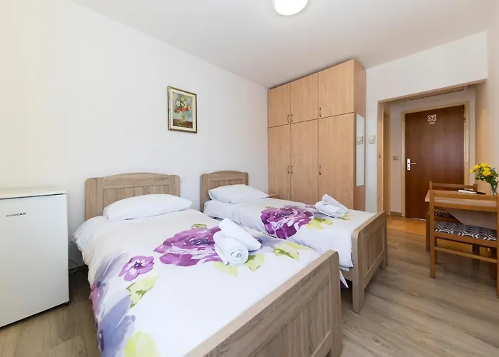 Guest house Irena 3*