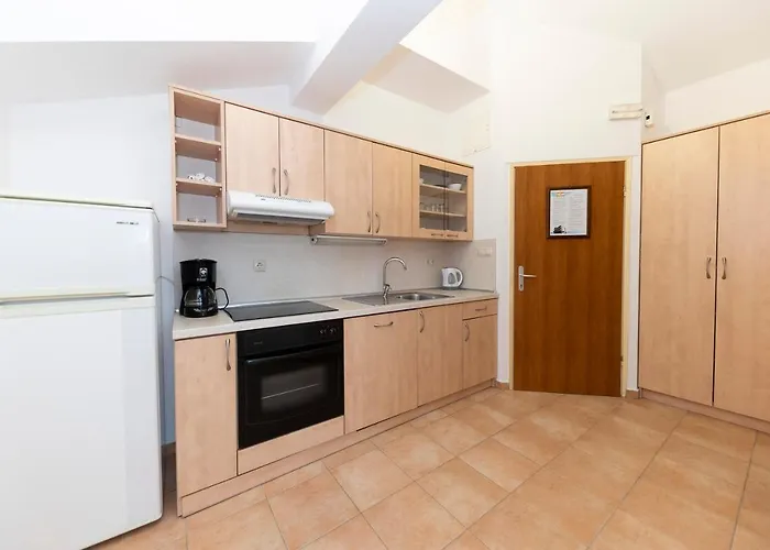 Guest house Irena 3*