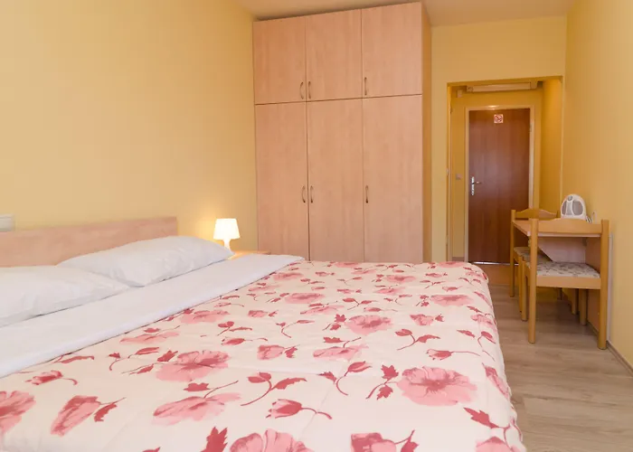 Irena Guest house 3*