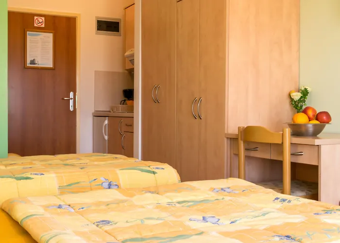 Irena Guest house 3*